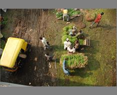 Vegetable Seller at Banglore - Image by Perumal Venkatesan