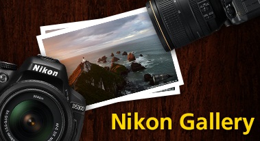 Nikon Gallery