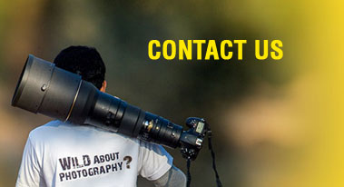 Nikon School - Contact Us