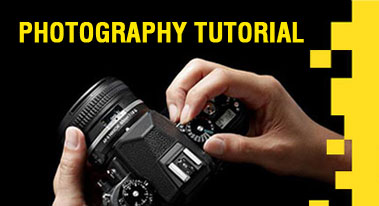 Photography basics and digital photography tutorials