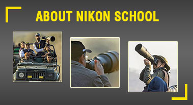 About Nikon Photography School